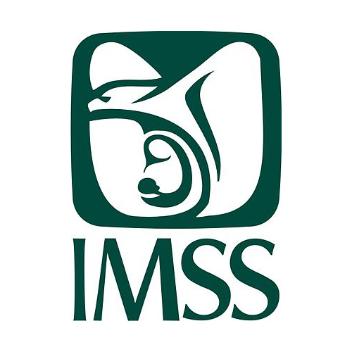 Trabajadores del IMSS&nbsp;
